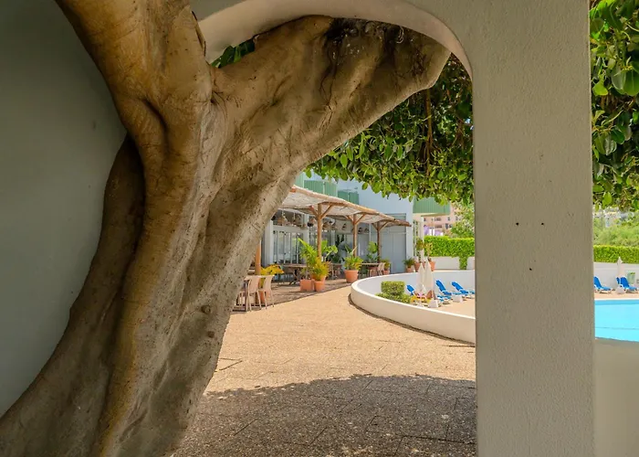 Com 3 Quartos Em Frente A 포티마오